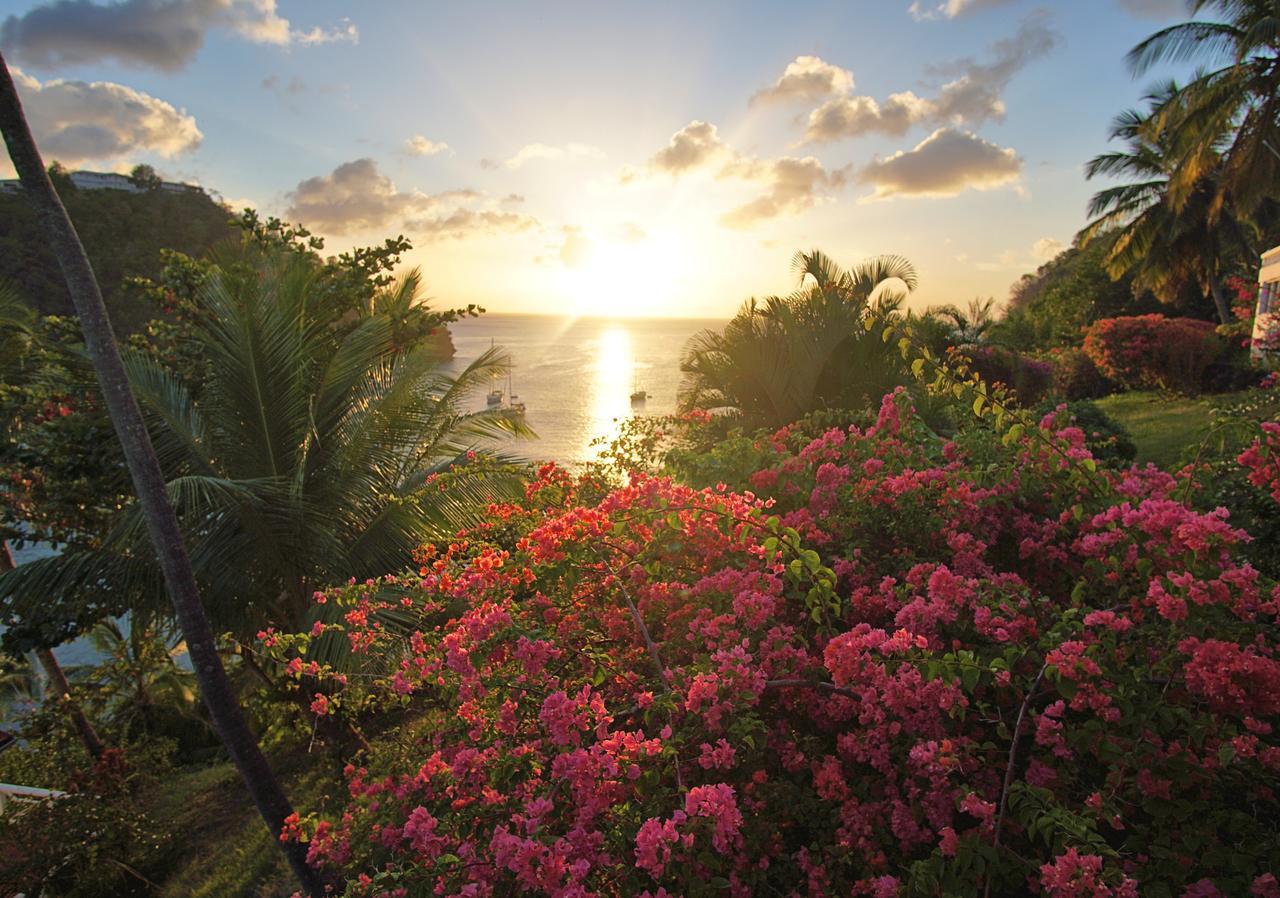 Marigot Beach Club & Dive Resort Zewnętrze zdjęcie